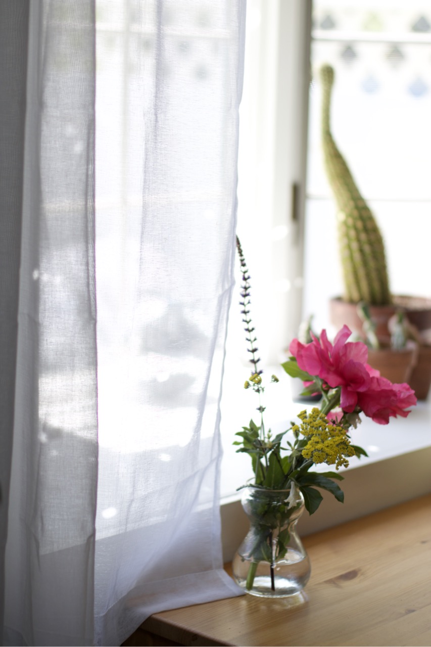 Image of flowers and plants in front of a window.