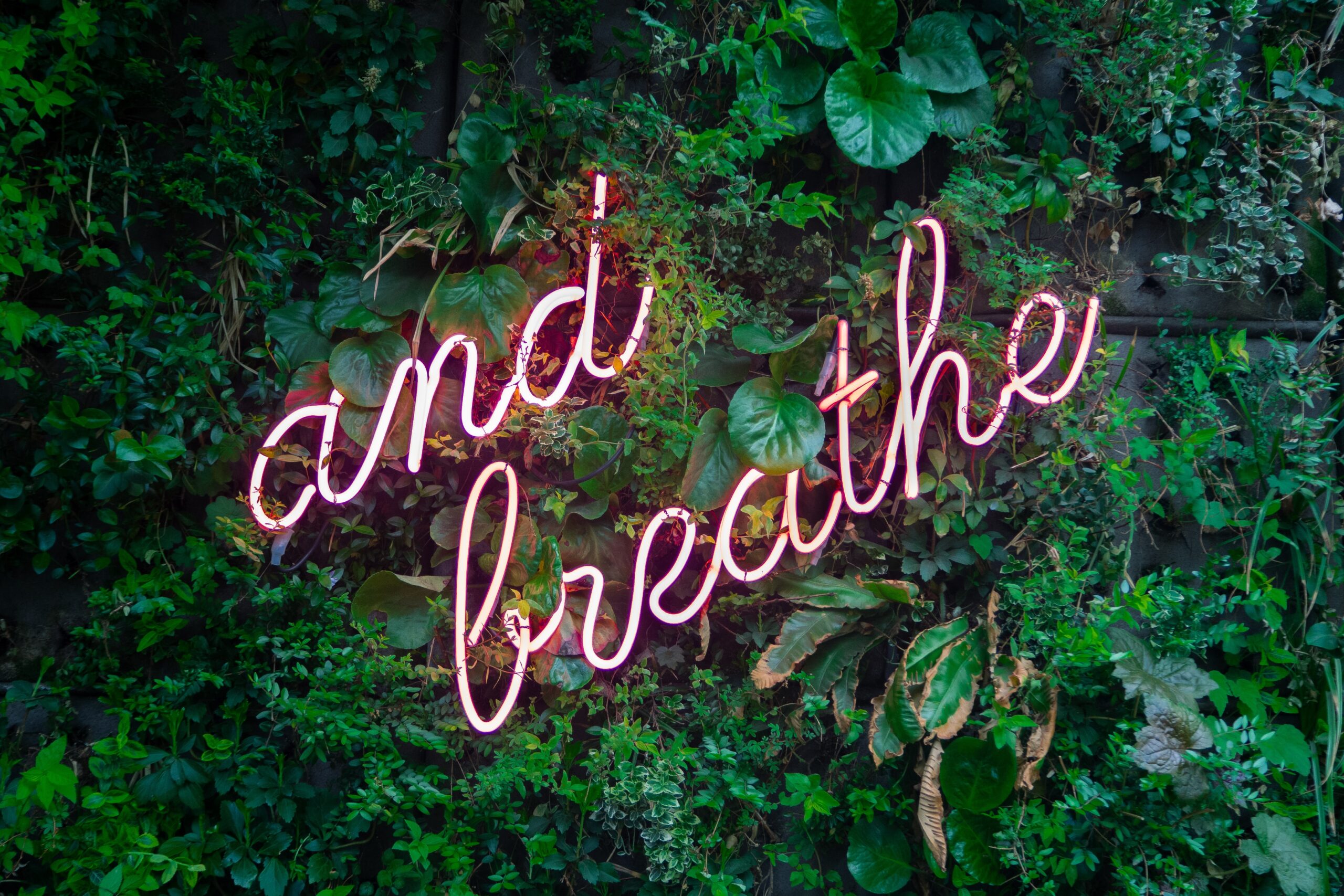 Photo of a neon sign that says "and breathe" against foliage.